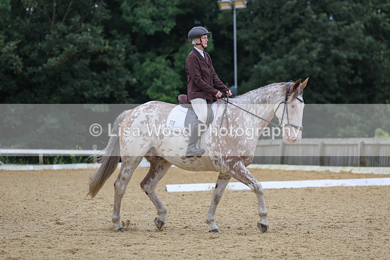 3E7A5026 - Class 2: Intro 4 2024 section B