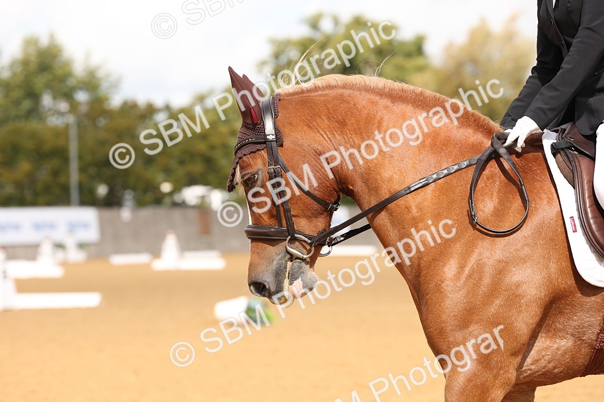 SBM_19509 - D10 - Small Tour Championship Prelim 2