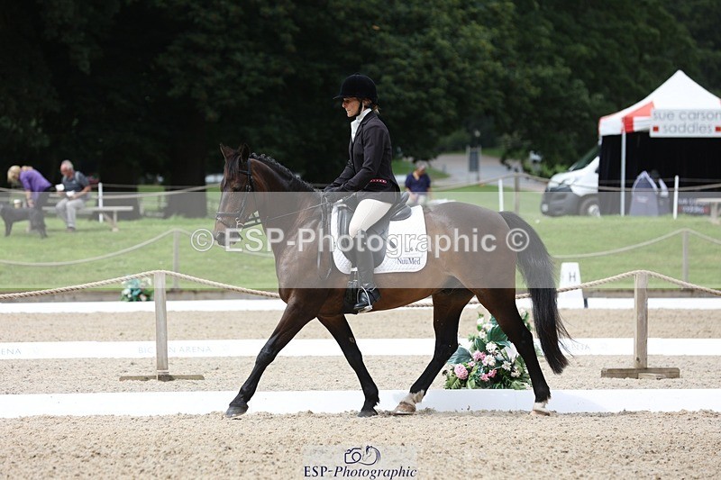 230812-122004-03983 - Cls 5 Novice Bronze 11.15 to 12.50 break