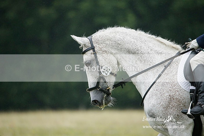 BVRC 030721 633 - Bourne Valley Riding Club Dressage 03/07/21