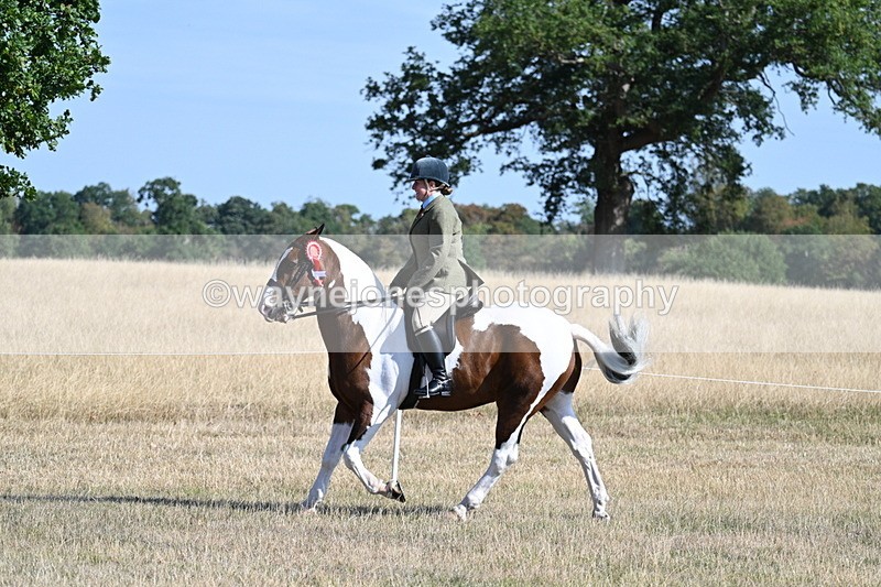 WJ7_3230 - Class 8 Ridden Tack & Turnout