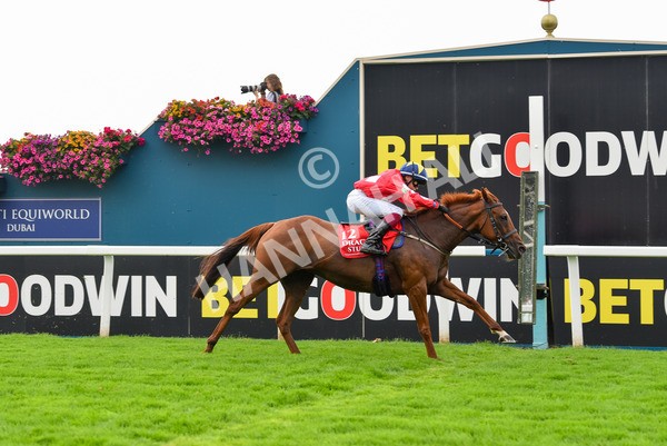 100923-Pony Race 2-1711 - Pony Race 2 12.45 The Dragon (TV and Film) Studios Pony Race 148cm & Under