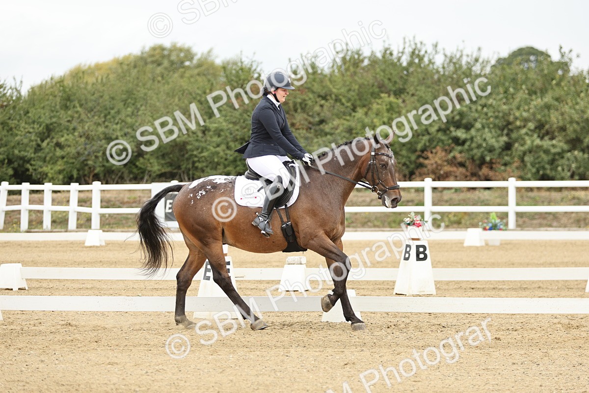 SBM_007018 - Class 21 - Medium 5 Bronze - 10.04-10.52