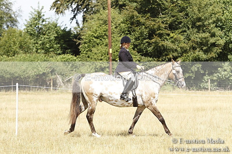 _BS_0713 - BVRC Show 2018 Ring 1