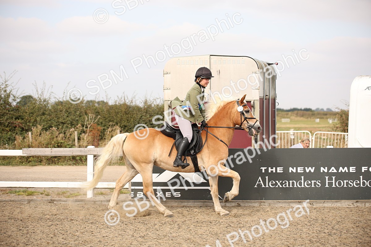 SBM_16243 - Class 409a - Working Veteran 80cm (15-19)