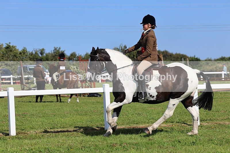 IMG_1661 - Skewbald and Piebald Ridden Championship