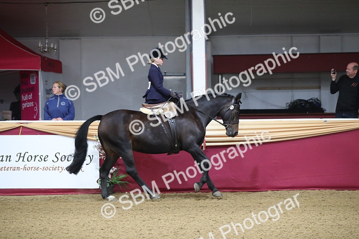 SBM_09271 - Class 101 Equitation (best rider), Junior