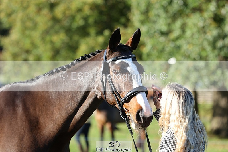 241027-091202-15109 - 351-Grace.Gillard-INDI