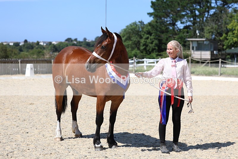 3E7A9933 - In Hand Championship