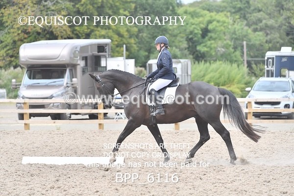 BPP_6116 - NOVICE TEST 4 + 6 LONG ARENA