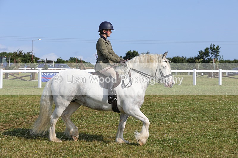 1X9A3380 - Class 28: Ridden Native/Trad Coloured Pony