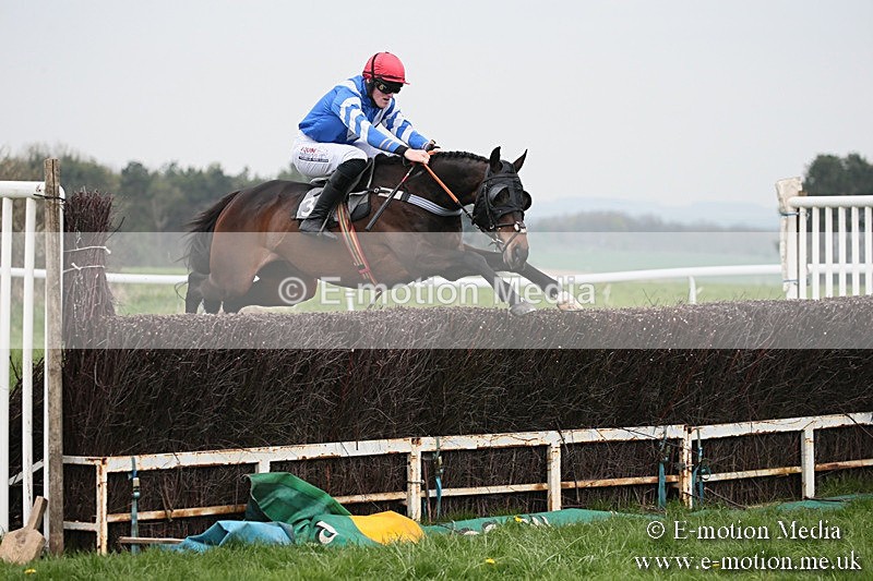 PtP 210418 73 - South & West Wilts Point-to-Point Larkhill 21/04/18