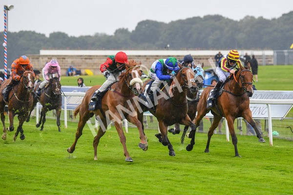 140723-Race 1-Northern Express-0043 - Race 1 2.05pm William Hill Epic Value Handicap