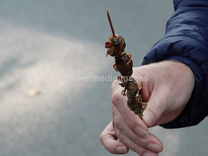 CHINA__1287 - China 2019