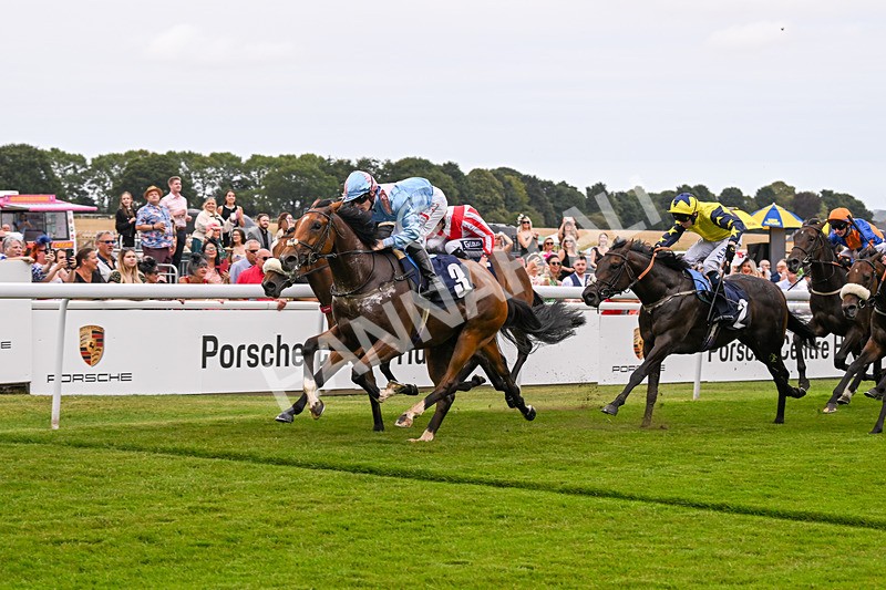 140824-Race 1-Lord Roxby-5795 - Race 1