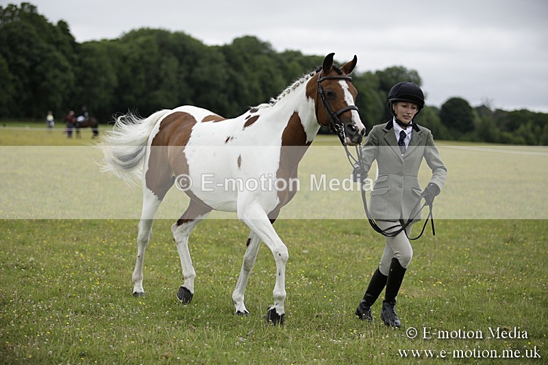 BVR160717-852 - Ring 2 BVRC Show 16/07/17