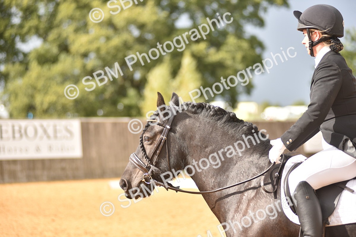 SBM_10135 - D15 - Small Tour Championship Novice 1