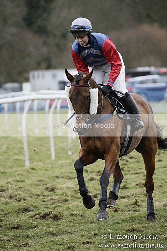 PtP 110318 336 - Hampshire Hunt Point-to-Point Hackwood Park 11/03/18
