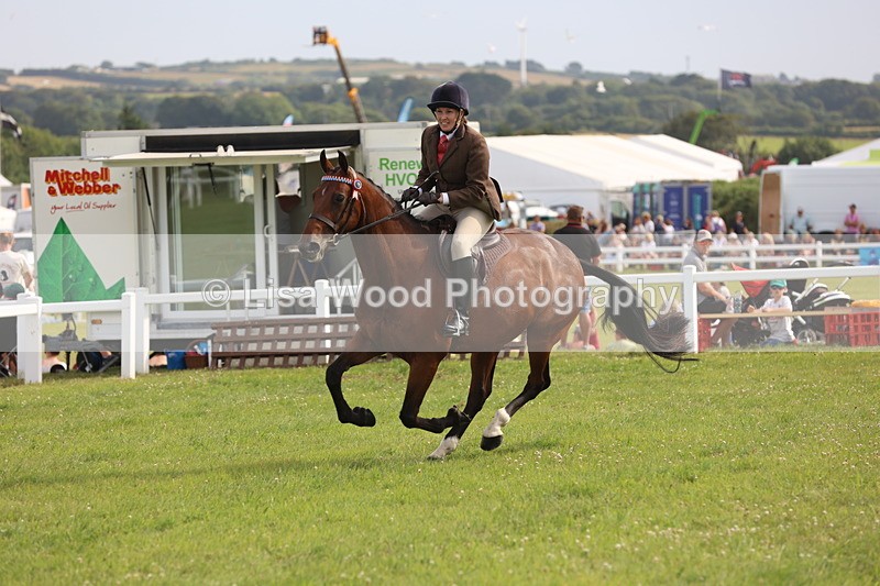 JPP_4250 - Class 25: Working Show Horse