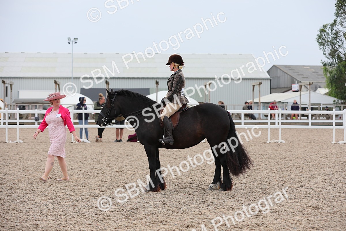 SBM_18080 - Class 316 Best Pony/Rider Combination