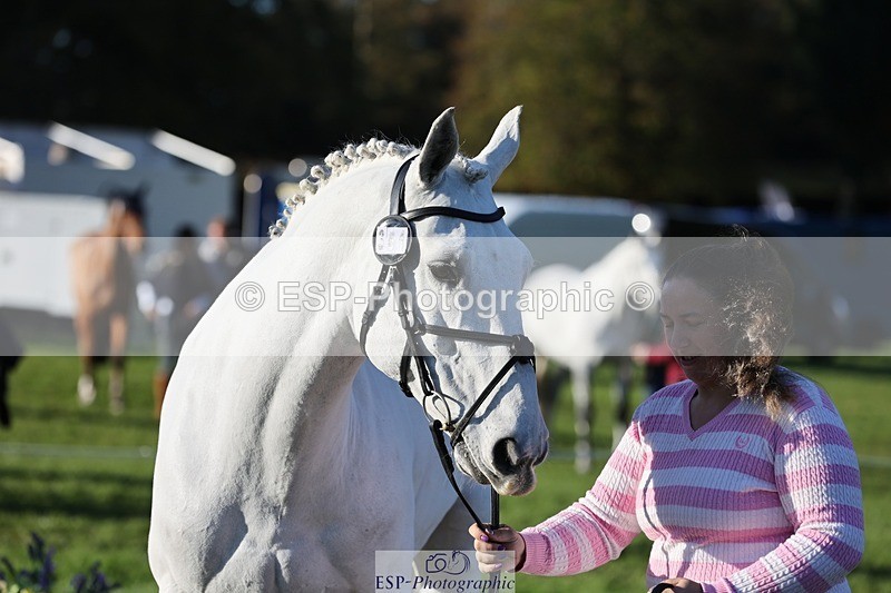 241027-090059-14962 - 361-Shanice.Hopkins-IMPERIAL.STORM