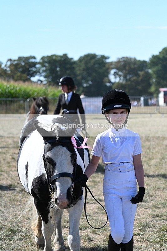 WJ7_1974 - Class 43 Best Six Legs (In hand)