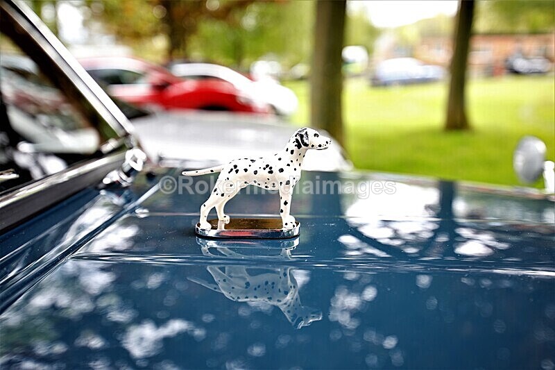 _56A1956 - MINI FESTIVAL 22ND May 2021