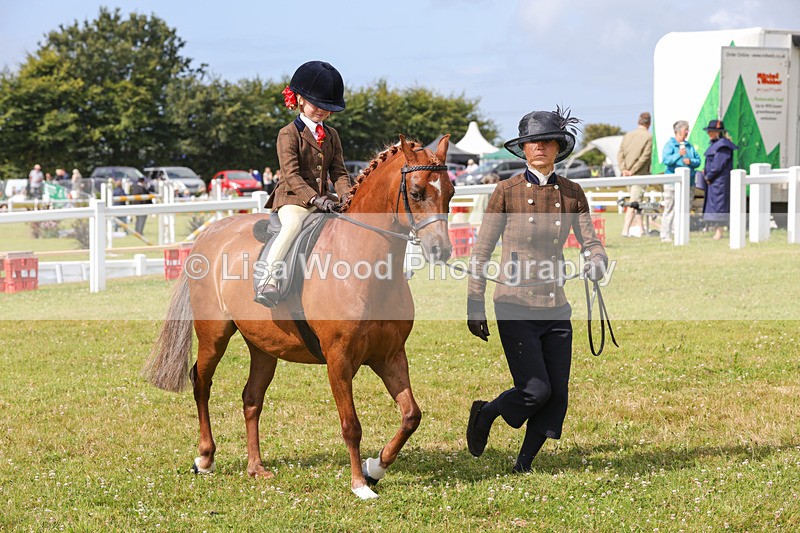 1X9A3633 - Class 29: Lead Rein SP/SHP