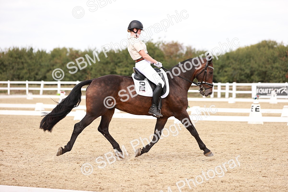 SBM_019211 - Class 20 - Medium 5