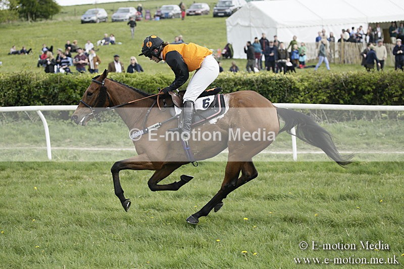 PtP 170417 386 - Old Berks Point-to-Point Lockinge 17/04/17