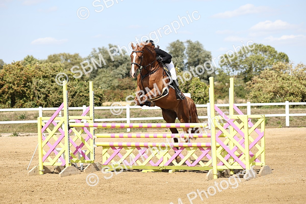 SBM_005180 - Class 6 = Senior Newcomers - 1.10m Open
