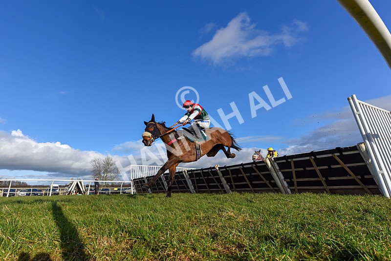 250225-Race 3-Ballyvango-0684 - Race 3