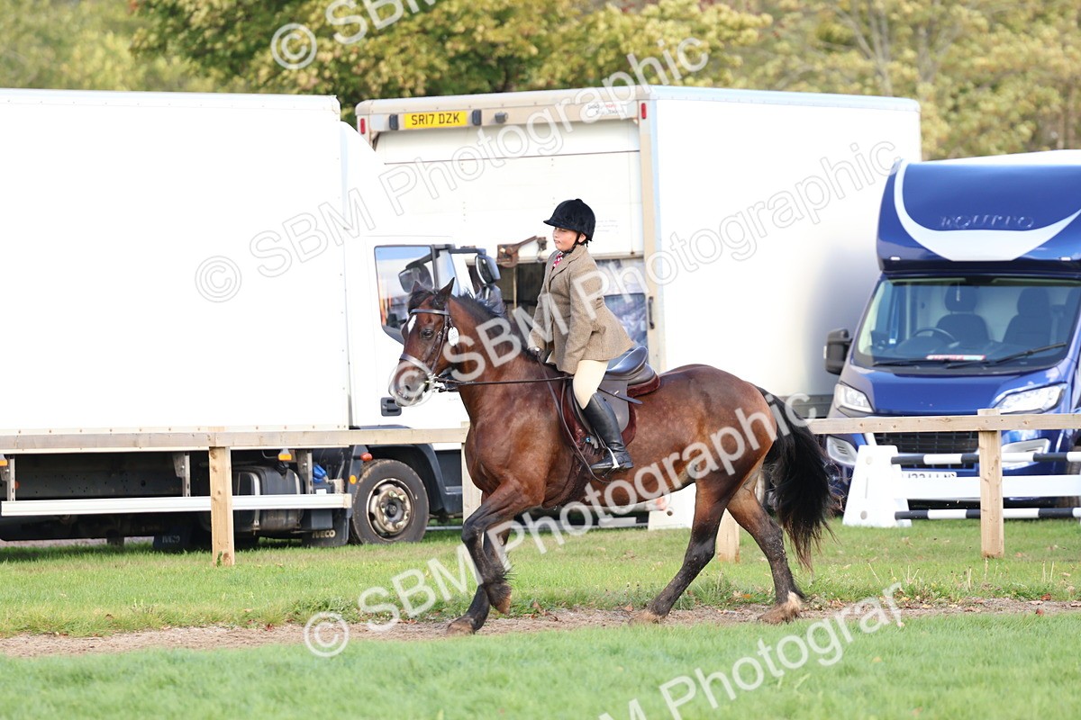 SBM_47768 - S28 - Veteran Ridden