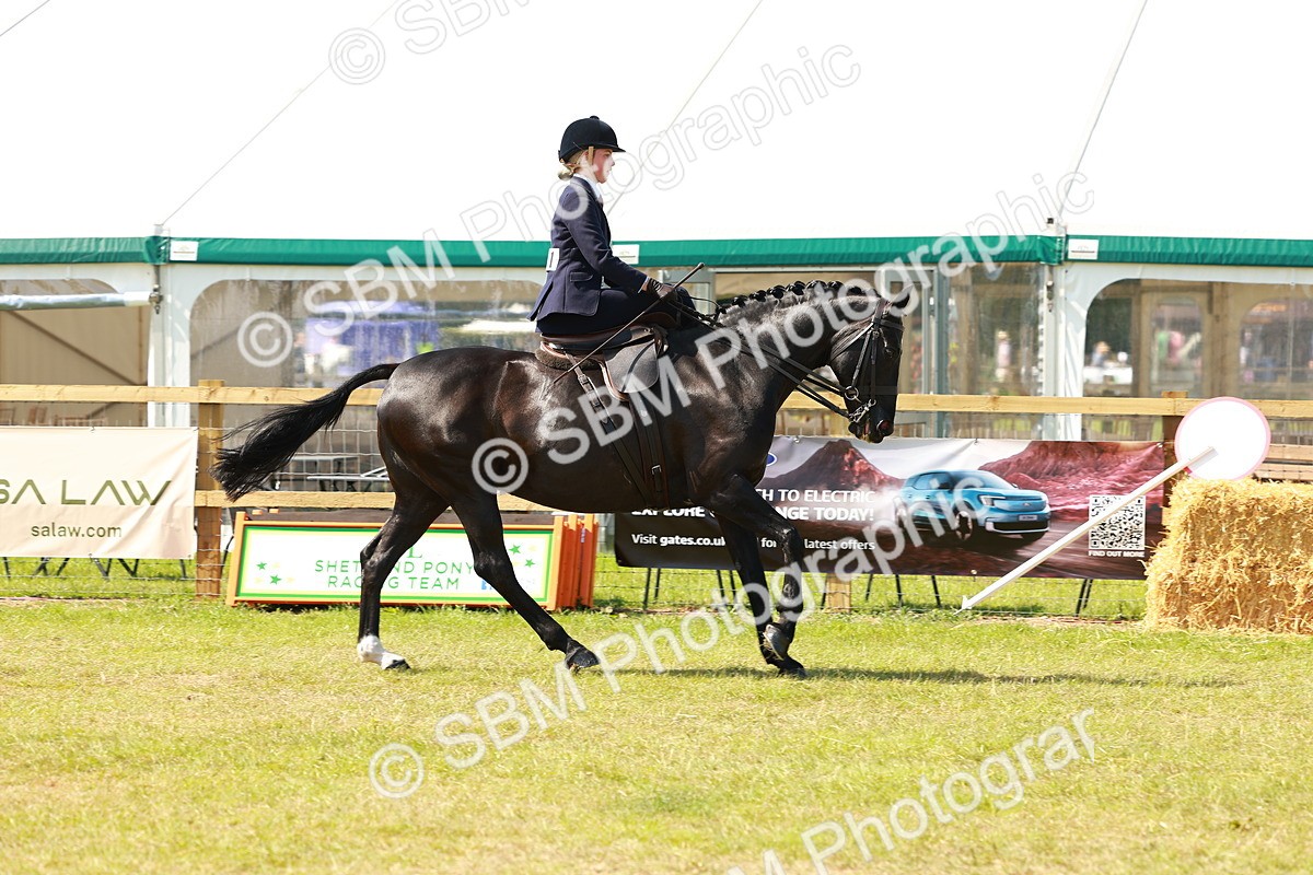 SBM_13316 - Class 70-71 - Side Saddle