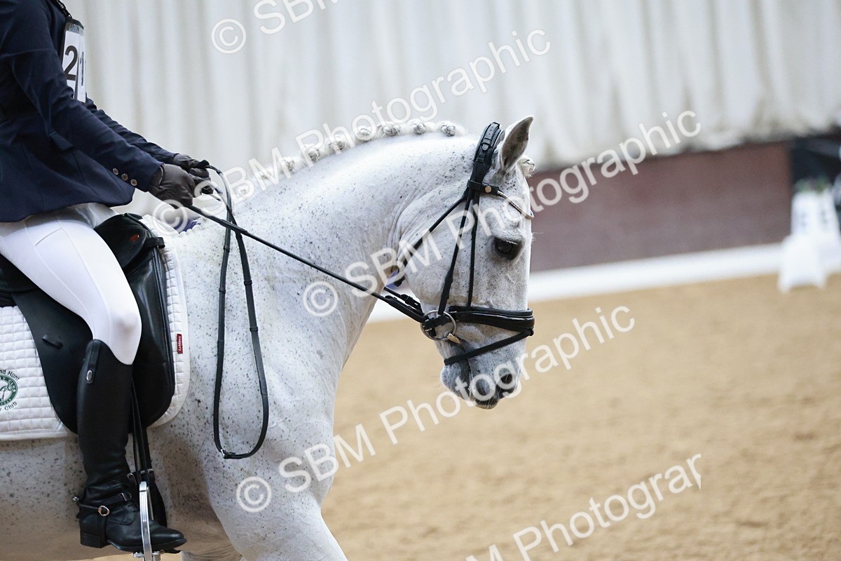 SBM_003826 - Class 2 - Novice 2020