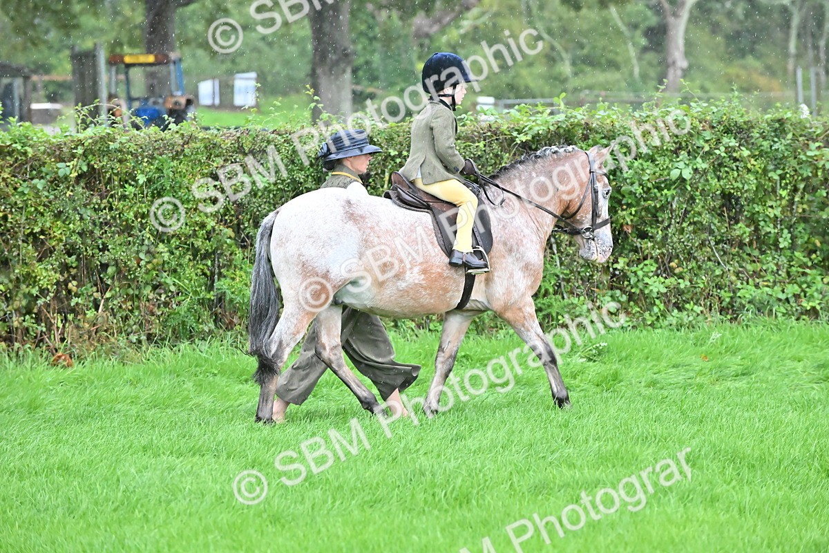 SBM_36477 - S18 - Novice & Newcomer Lead Rein Pony