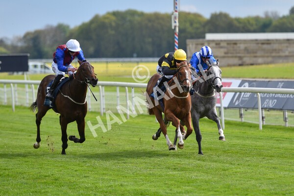 yr12052021r6-15 - Race 6 4.15pm British Stallion Studs EBF Novice Stakes