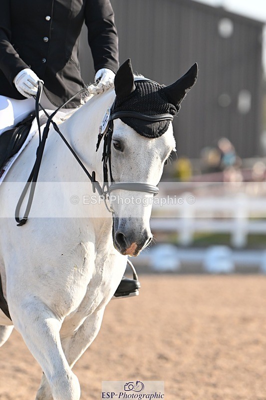 250816-084848-02771 - 081-Amy.ChambersBrodella.Benny