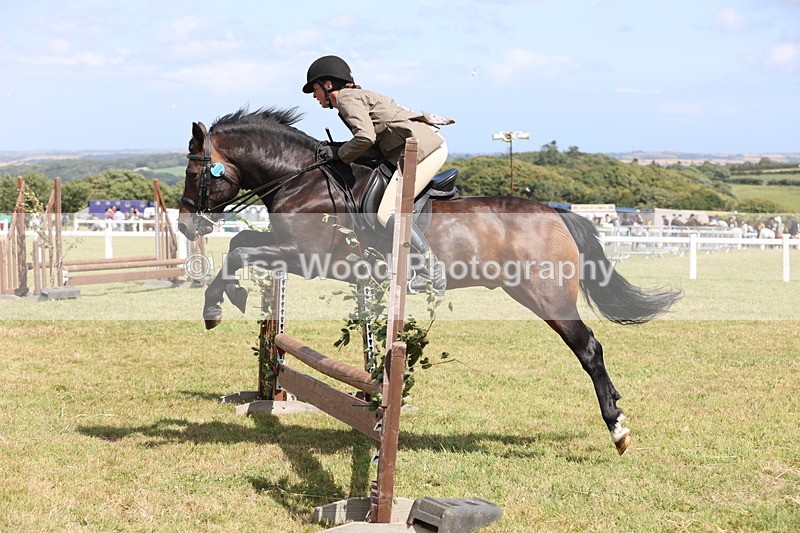 JPP_2185 - Class 19: Working Hunter 60cm