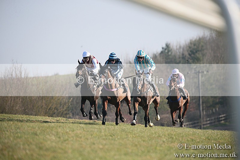 PtP 230219 440 - Vine & Craven Point-To-Point - Barbury 23/02/19