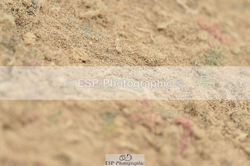 230611A-134920-06201 - Cls 35 1.10m Amateur Qualifier