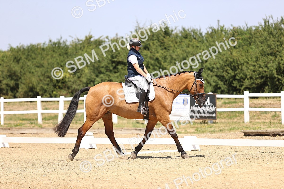 SBM_003990 - Intro 2
