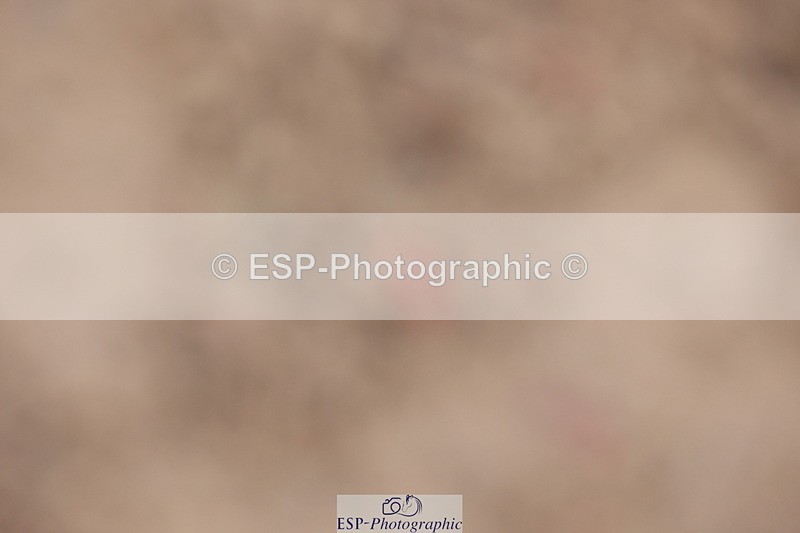 231112A-102637-03353 - Cls 17 Blue Chip Novice Winter Qualifier