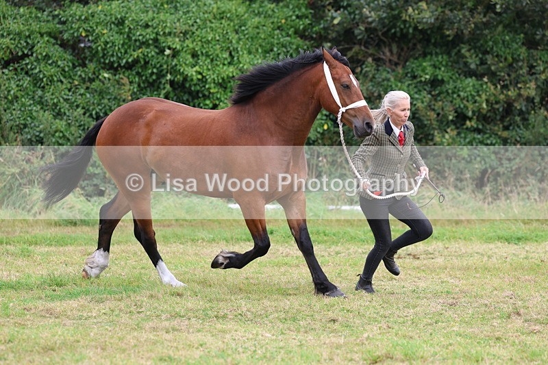 3E7A4382 - Class 15: Three Year Olds