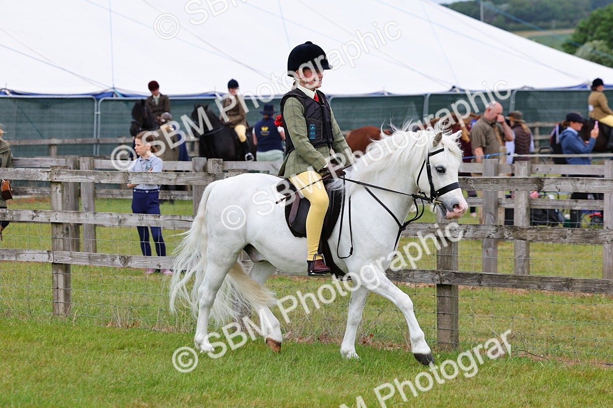 SBM_08521 - Class 42-43 - LIHS BSPS Heritage Working Sports Pony