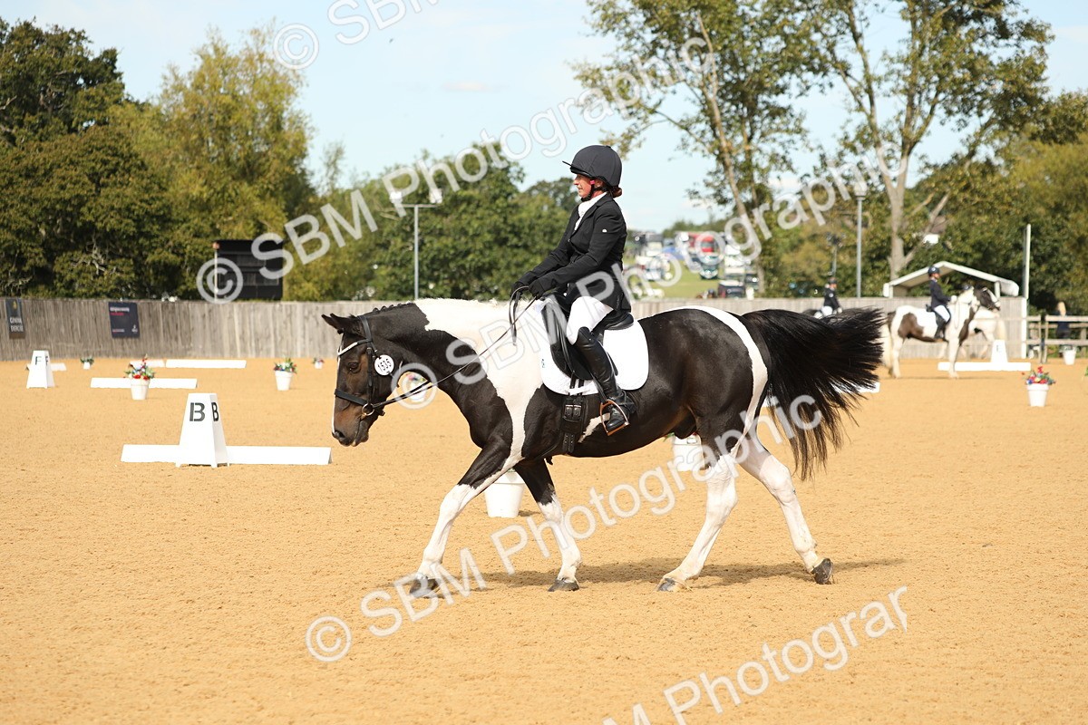 SBM_22213 - D17 - Grand Tour Championship - Novice 27