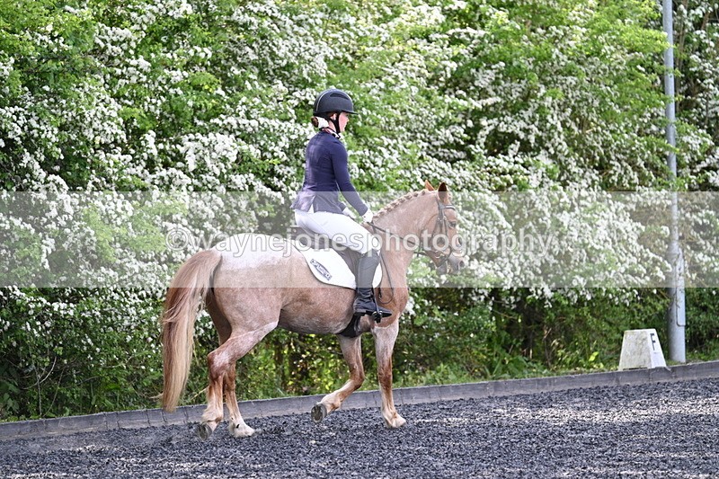 WJ7_8059 - Time 10:11 to 10:27