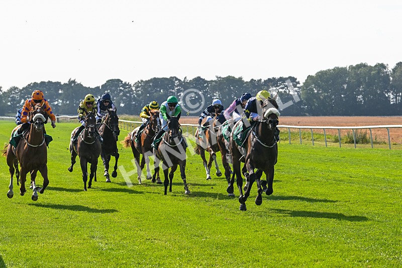 300824-Race 5-Shesashambles-6190 - Race 5