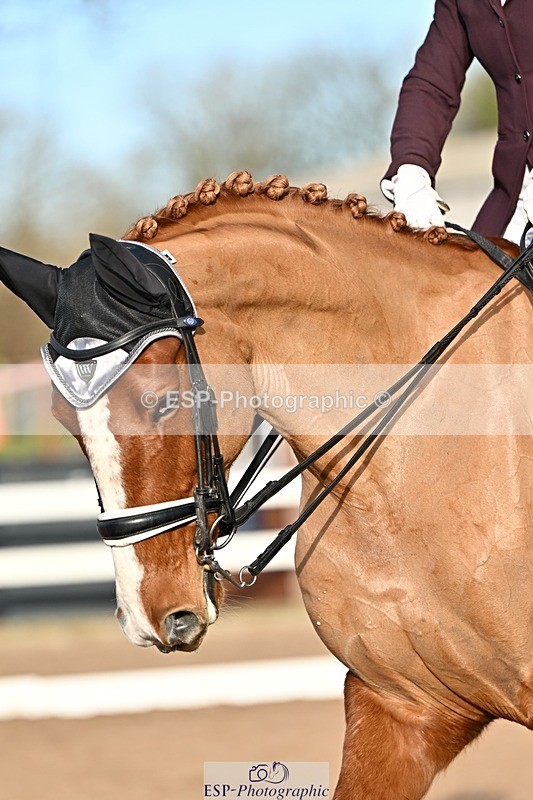 241214-134106-02541 - 112-kelly.jewell-Avalon