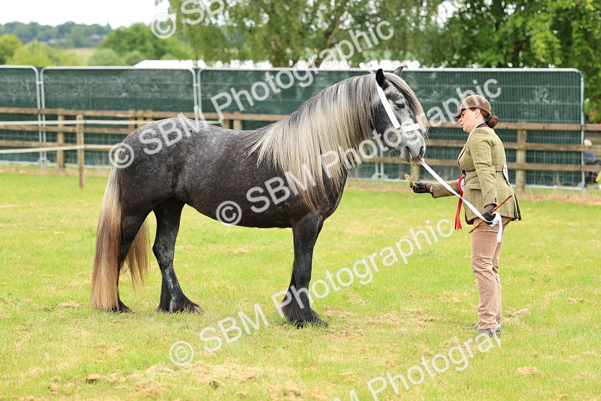 SBM_00602 - Class 58-67 - M&M Non Welsh Pony In hand